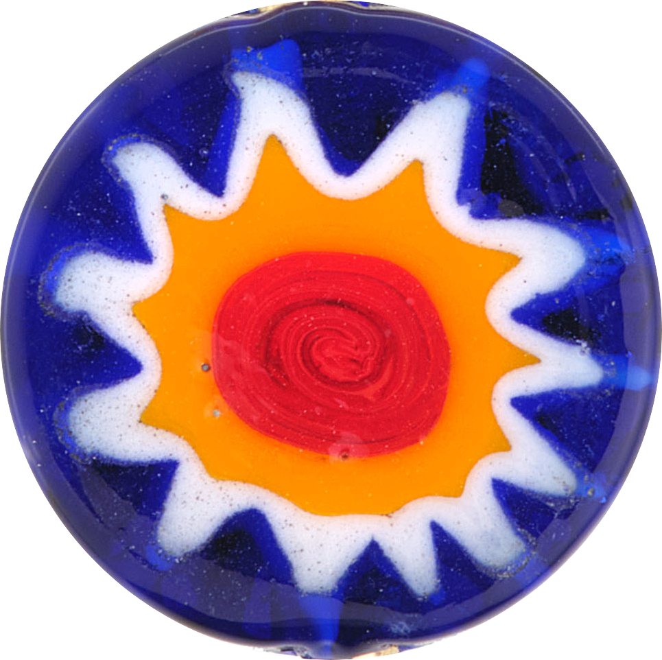 BLUE DAISY ORANGE