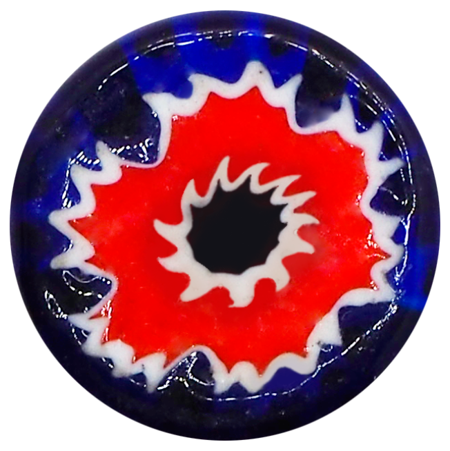 BLUE CARNATION RED