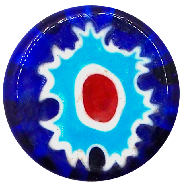 BLUE CARNATION LIGHT BLUE
