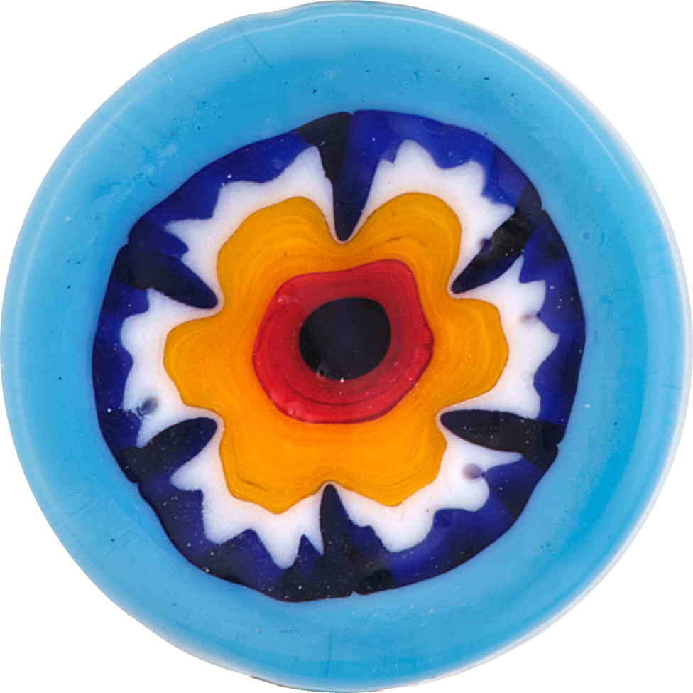 LIGHT BLUE CARNATION ORANGE