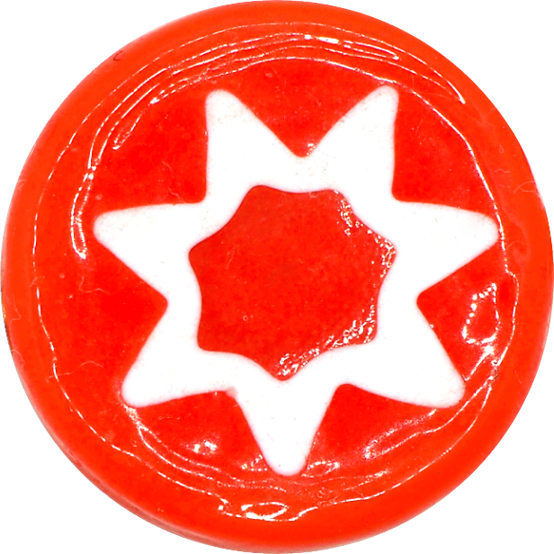 ORANGE DAISY