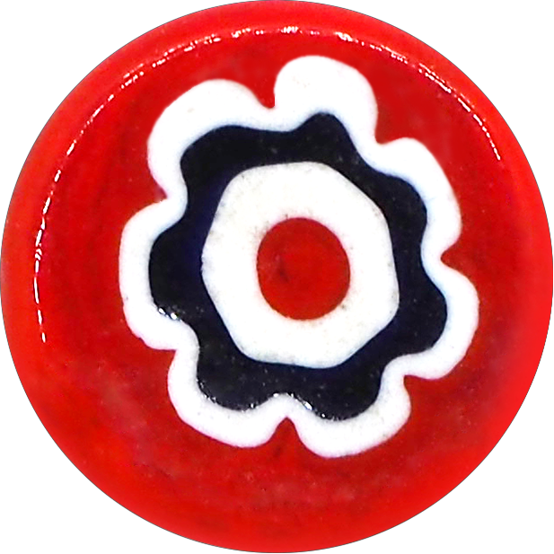 RED ANEMONE WHITE