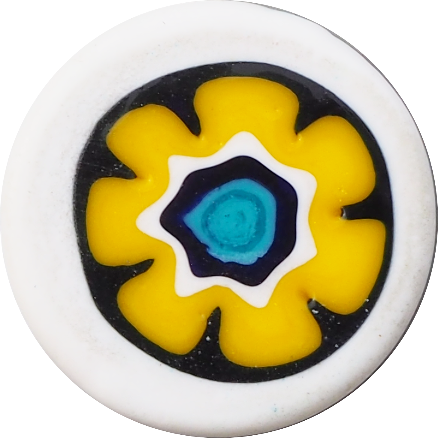 WHITE ANEMONE YELLOW
