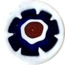 WHITE ANEMONE BLUE