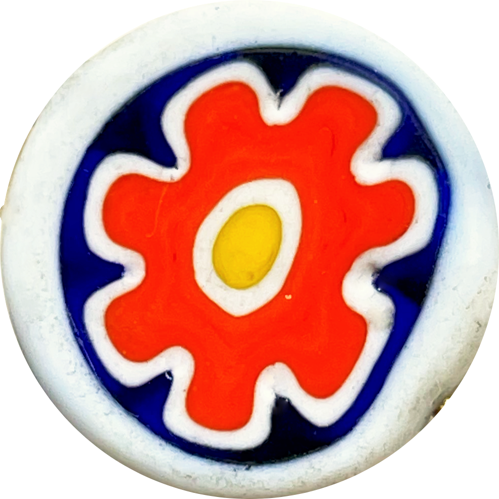WHITE ANEMONE ORANGE