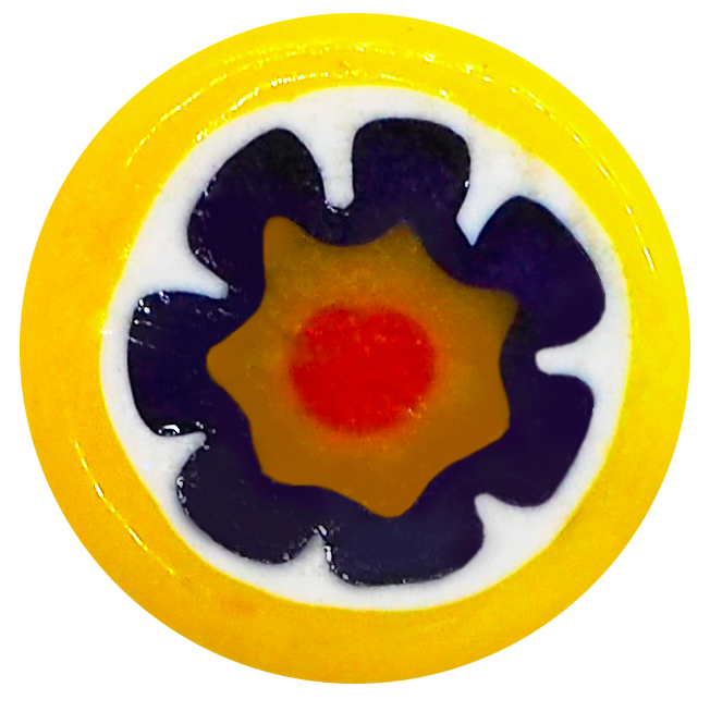 YELLOW ANEMONE BLUE