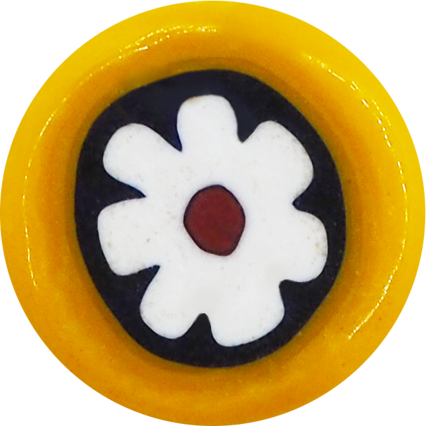 YELLOW ANEMONE WHITE-BLUE