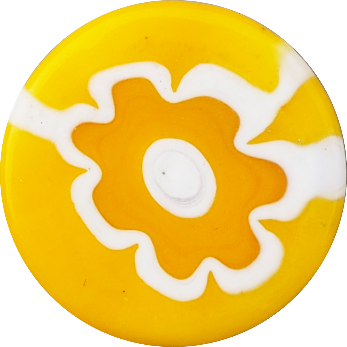 YELLOW ANEMONE WHITE